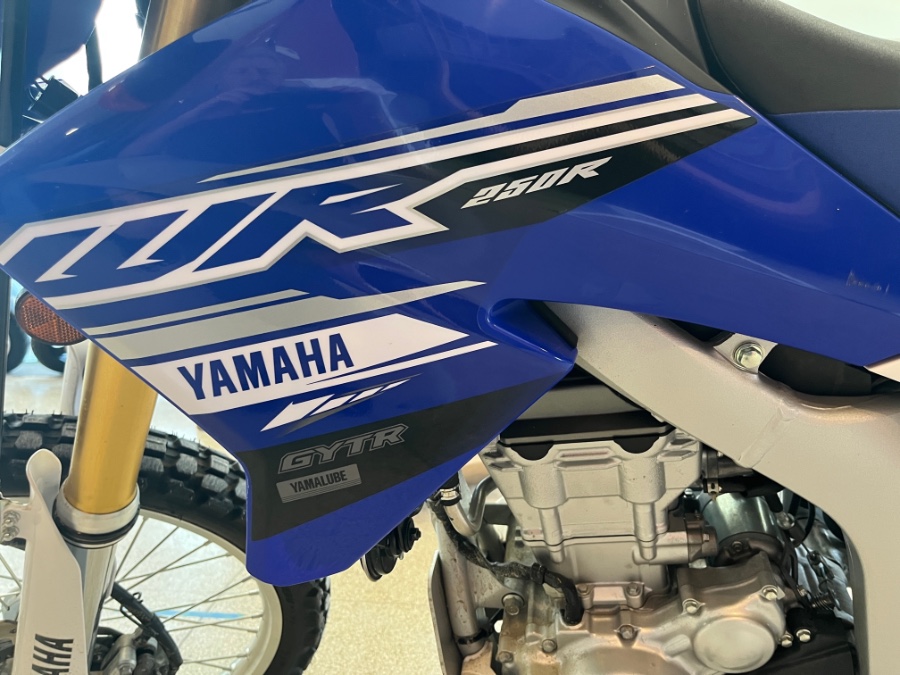 2020 Yamaha WR250R WR250R photo