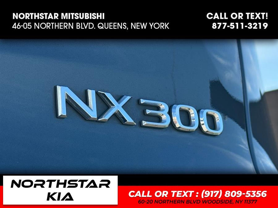 2020 Lexus NX 300 NX 300 photo