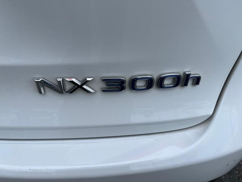 2021 Lexus NX NX 300h F SPORT Black Line photo