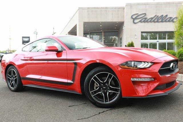 2018 Ford Mustang EcoBoost photo