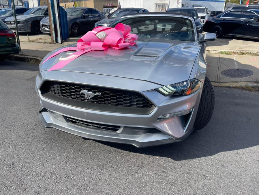 2020 Ford Mustang EcoBoost Premium Convertible photo