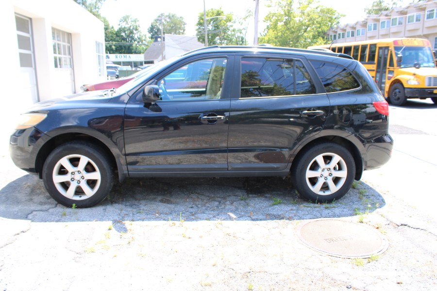 2009 Hyundai Santa Fe SE photo