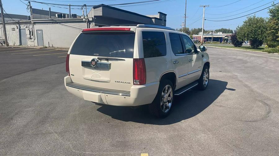 2010 Cadillac Escalade Luxury photo