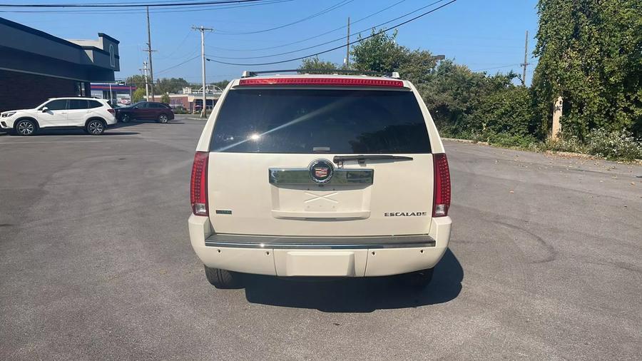2010 Cadillac Escalade Luxury photo