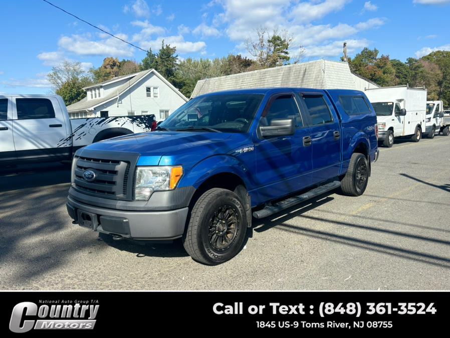2010 Ford F-150 XL photo
