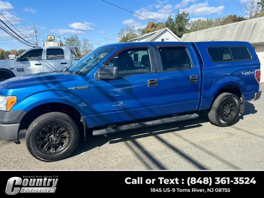 2010 Ford F-150 XL photo