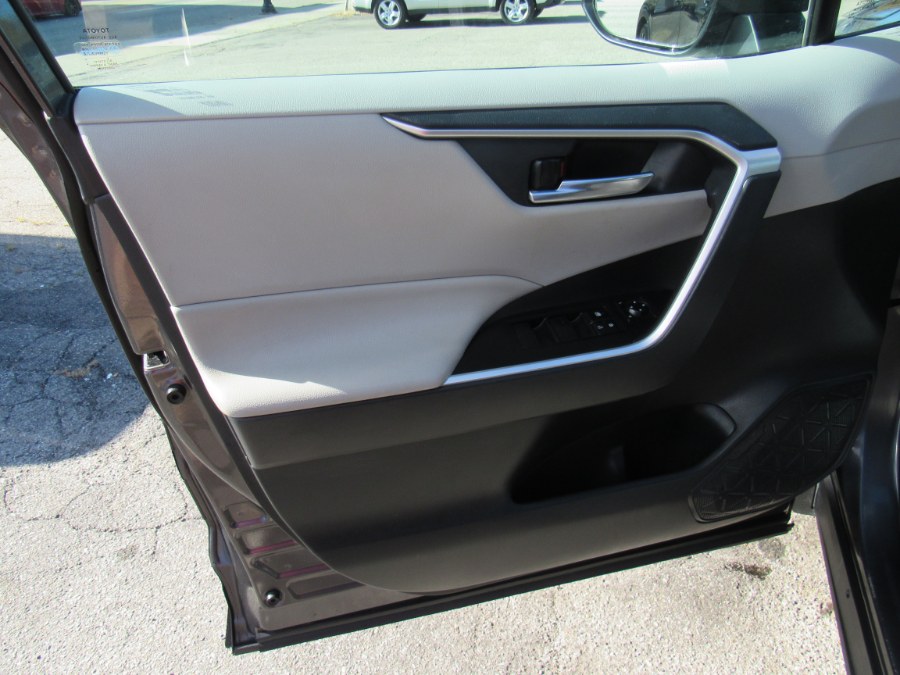 2019 Toyota RAV4 XLE photo