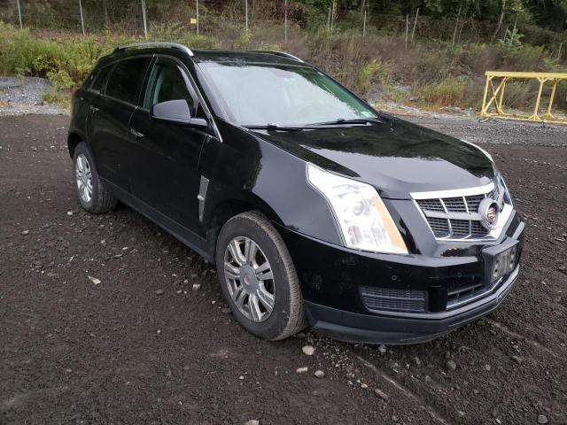 2011 Cadillac SRX Luxury Collection photo