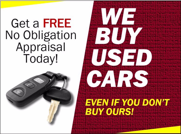2009 Toyota Sienna XLE photo
