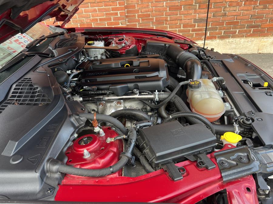 2019 Ford Mustang EcoBoost Premium Convertible photo