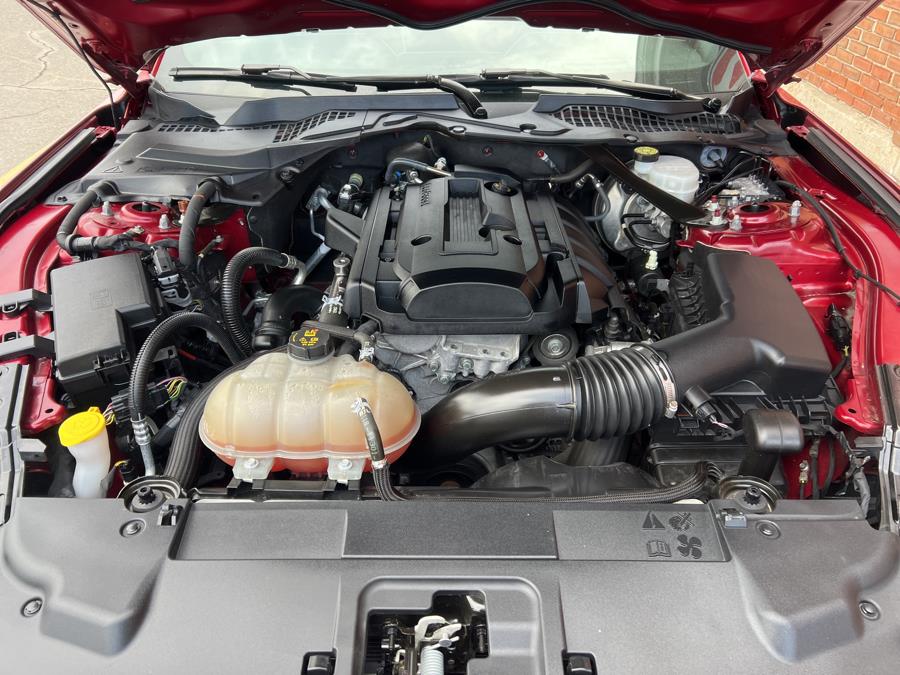 2019 Ford Mustang EcoBoost Premium Convertible photo