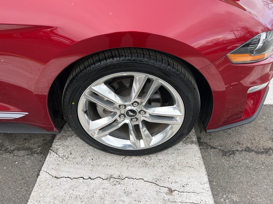 2019 Ford Mustang EcoBoost Premium Convertible photo