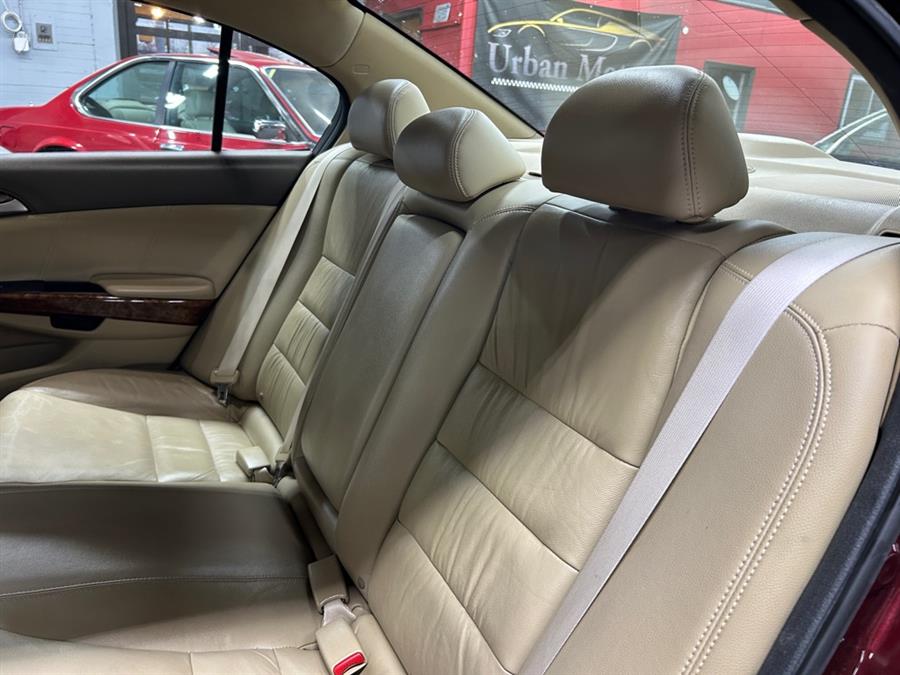 2010 Honda Accord EX-L photo
