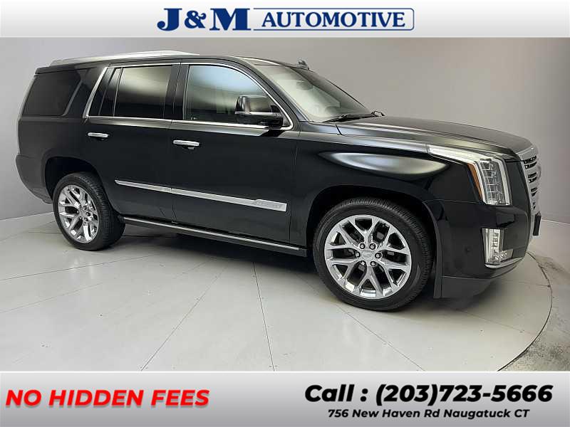 2018 Cadillac Escalade Platinum photo