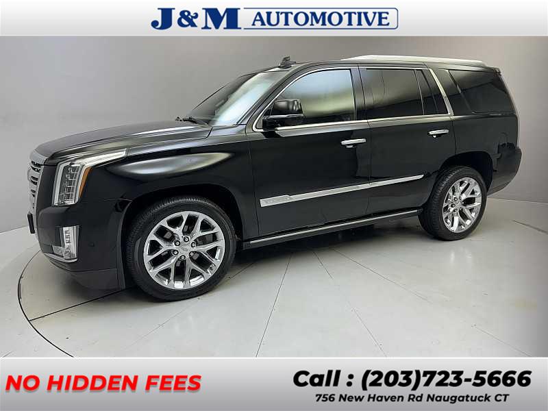 2018 Cadillac Escalade Platinum photo