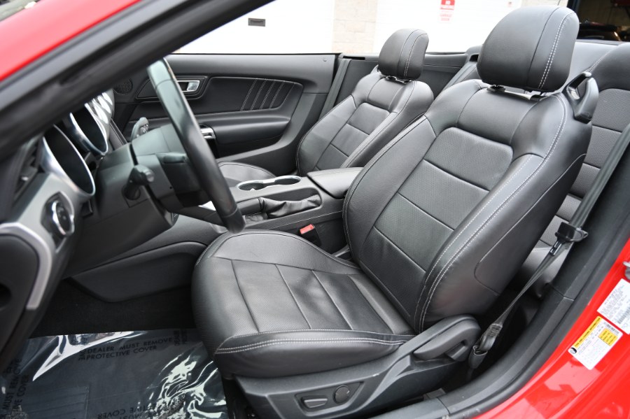 2023 Ford Mustang EcoBoost Premium Convertible photo