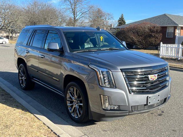 2020 Cadillac Escalade Platinum Edition photo