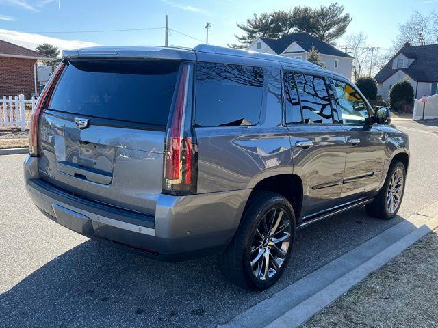 2020 Cadillac Escalade Platinum Edition photo