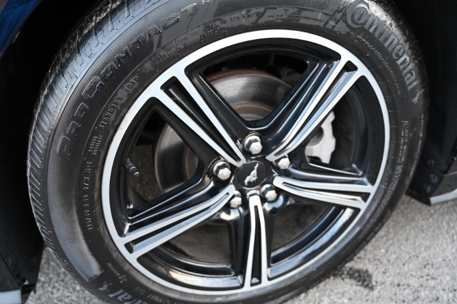 2024 Ford Mustang EcoBoost Fastback photo