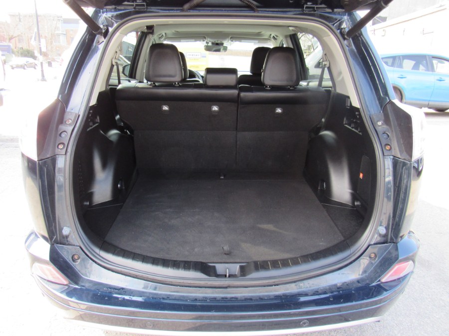 2017 Toyota RAV4 Platinum photo