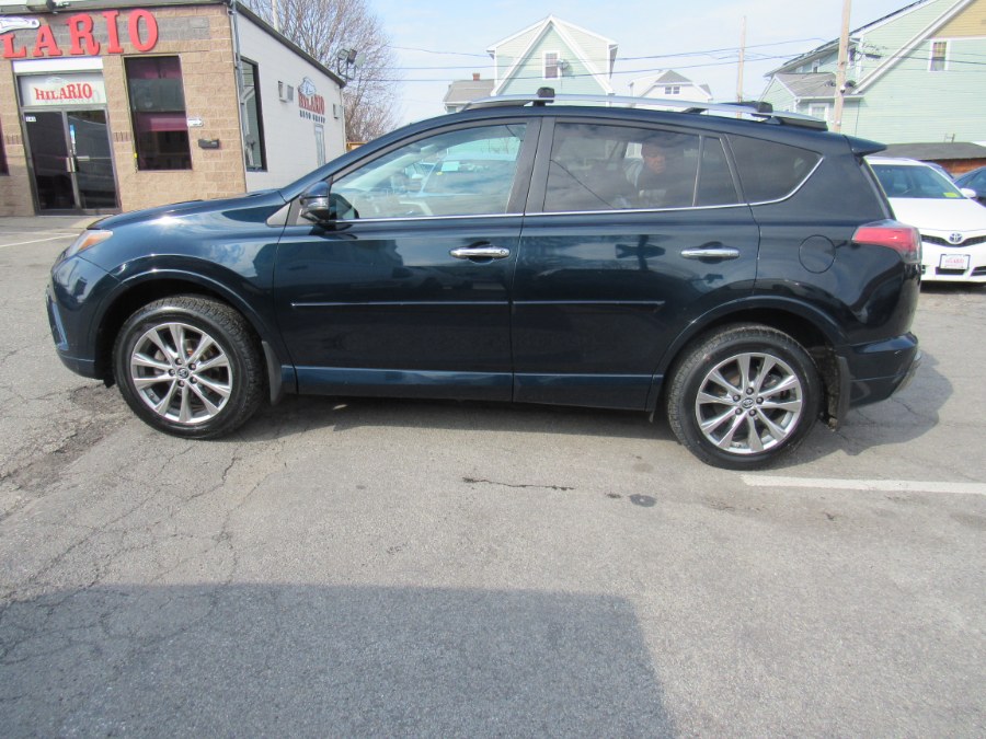 2017 Toyota RAV4 Platinum photo
