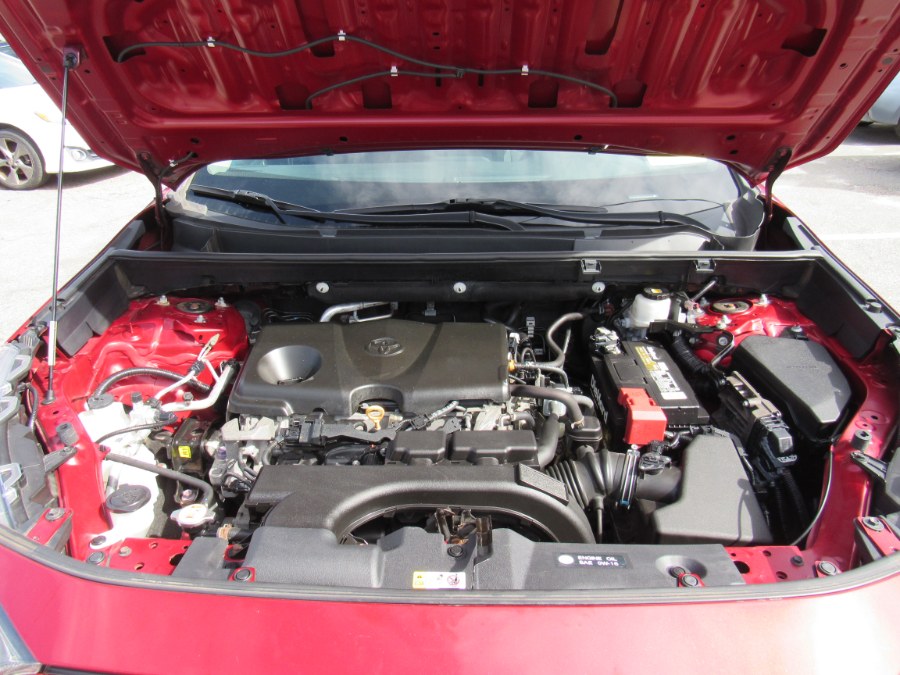 2019 Toyota RAV4 LE photo