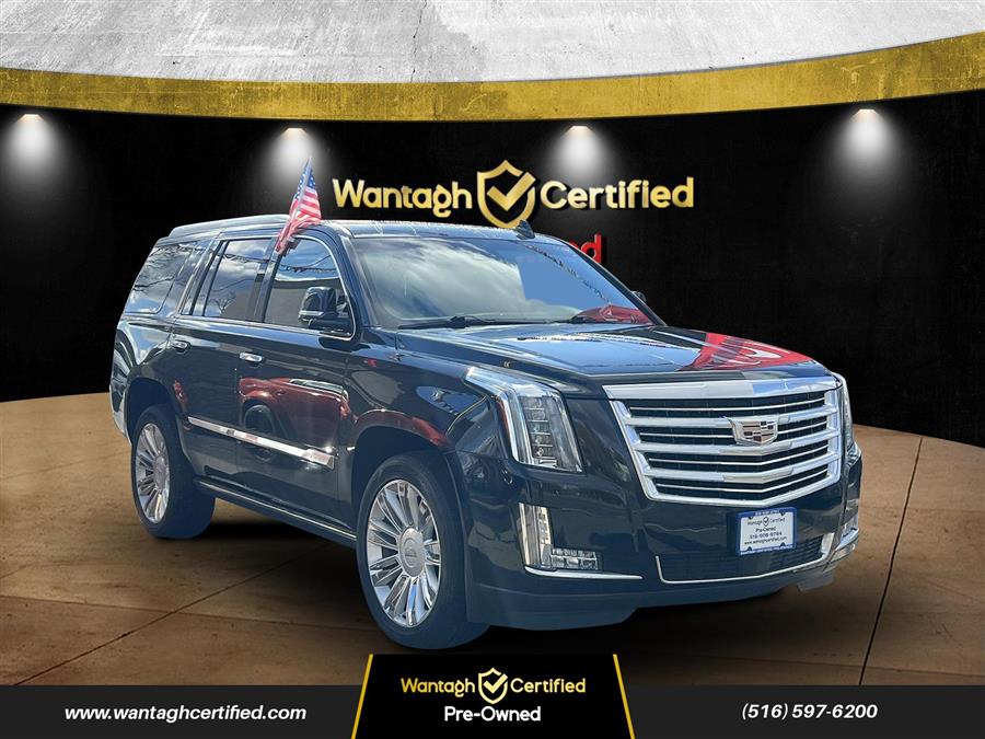 2018 Cadillac Escalade 4WD 4dr Platinum photo