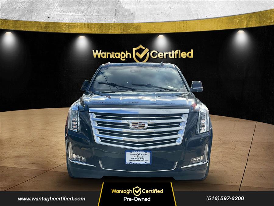 2018 Cadillac Escalade 4WD 4dr Platinum photo