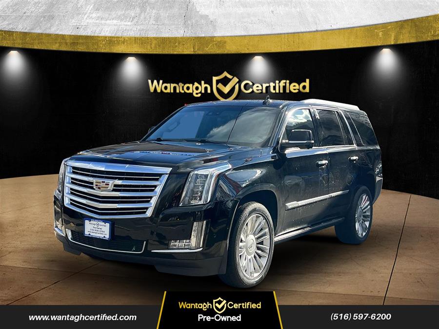 2018 Cadillac Escalade 4WD 4dr Platinum photo