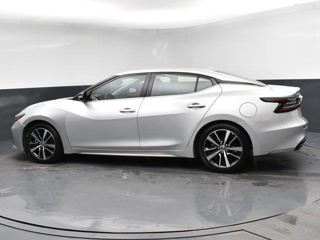 2023 Nissan Maxima SV photo
