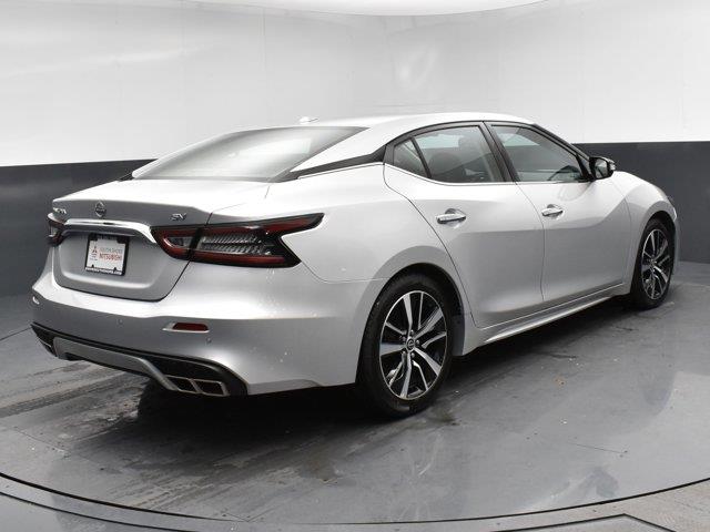 2023 Nissan Maxima SV photo