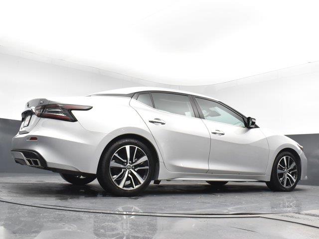 2023 Nissan Maxima SV photo