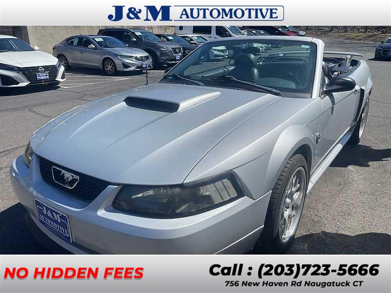 2004 Ford Mustang GT Deluxe photo