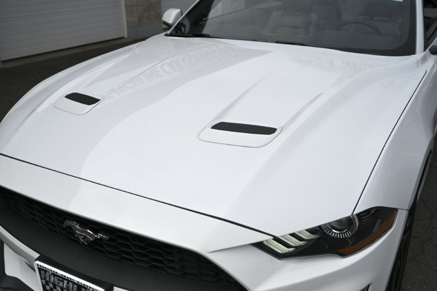 2023 Ford Mustang EcoBoost Premium Convertible photo