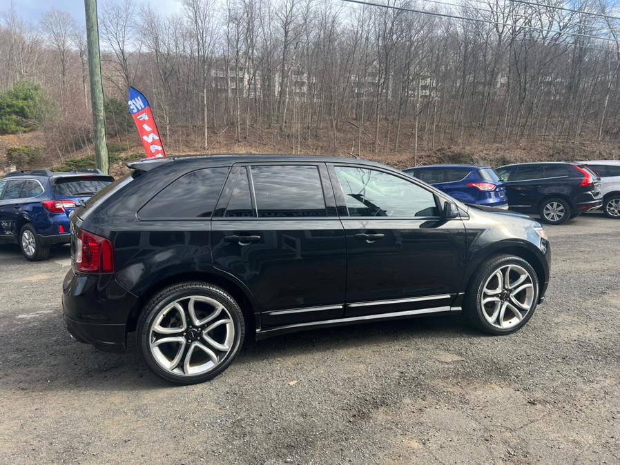 2011 Ford Edge Sport photo