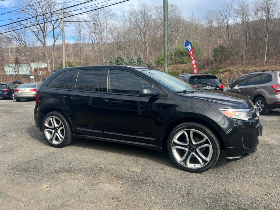 2011 Ford Edge Sport photo
