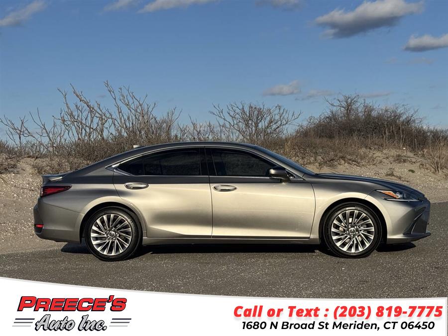 2019 Lexus ES 00h photo