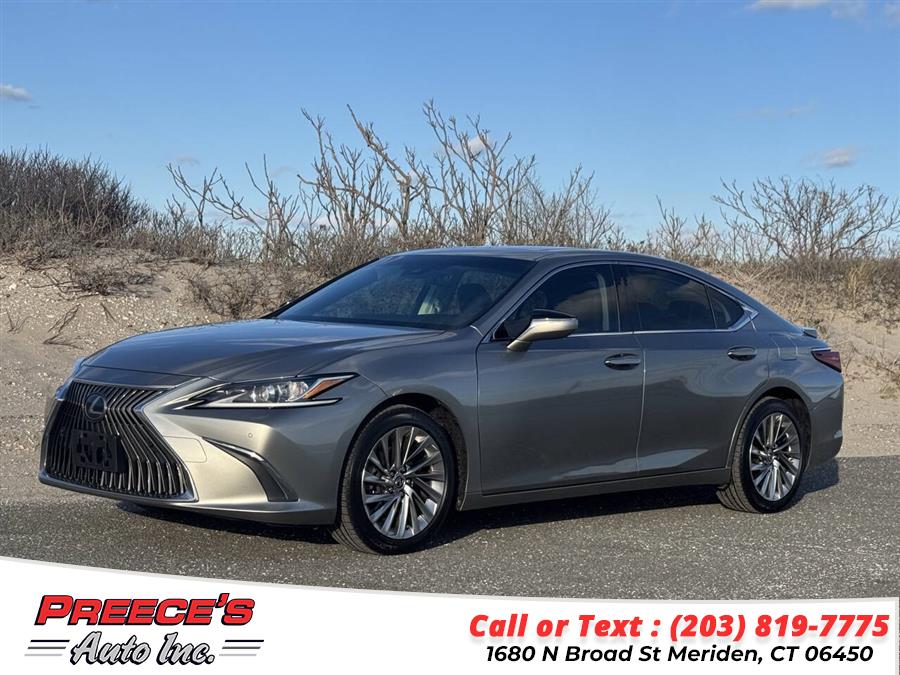 2019 Lexus ES 00h photo