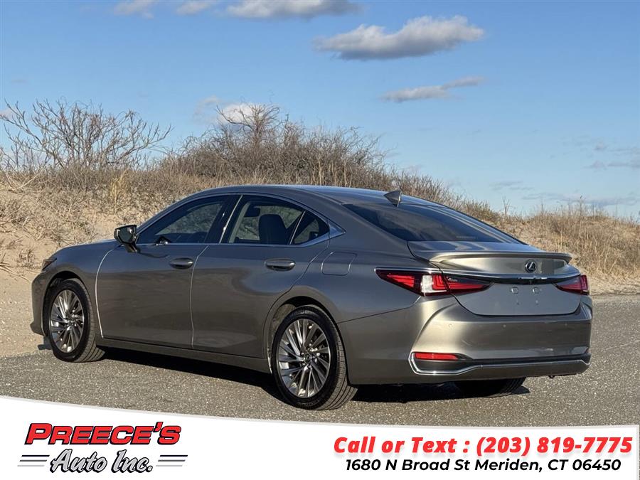 2019 Lexus ES 00h photo