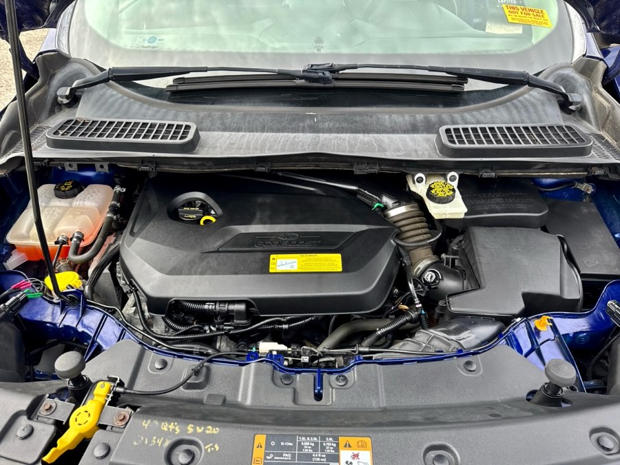 2014 Ford Escape SE photo