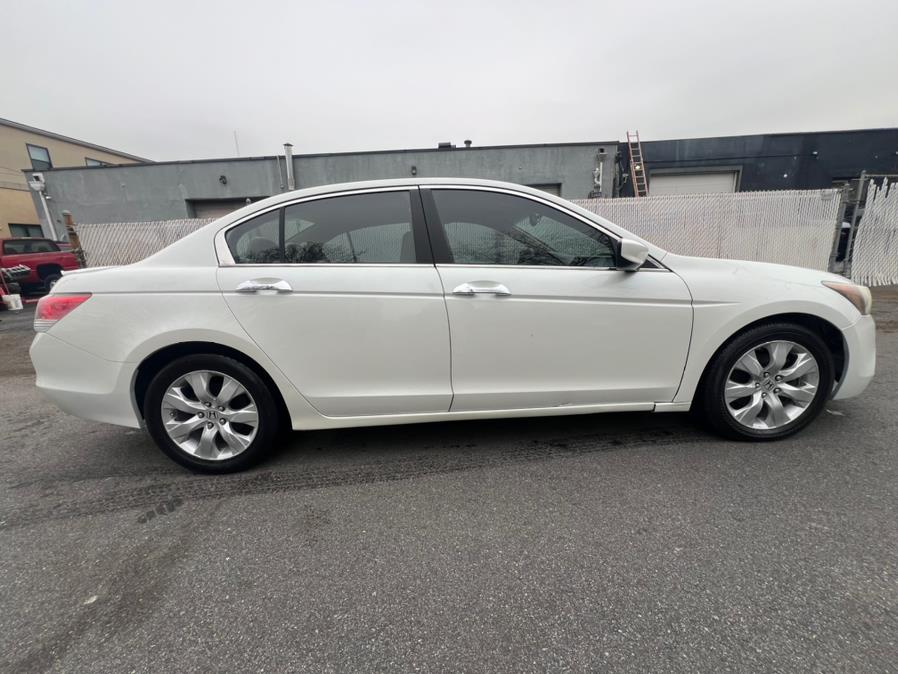 2009 Honda Accord EX-L photo
