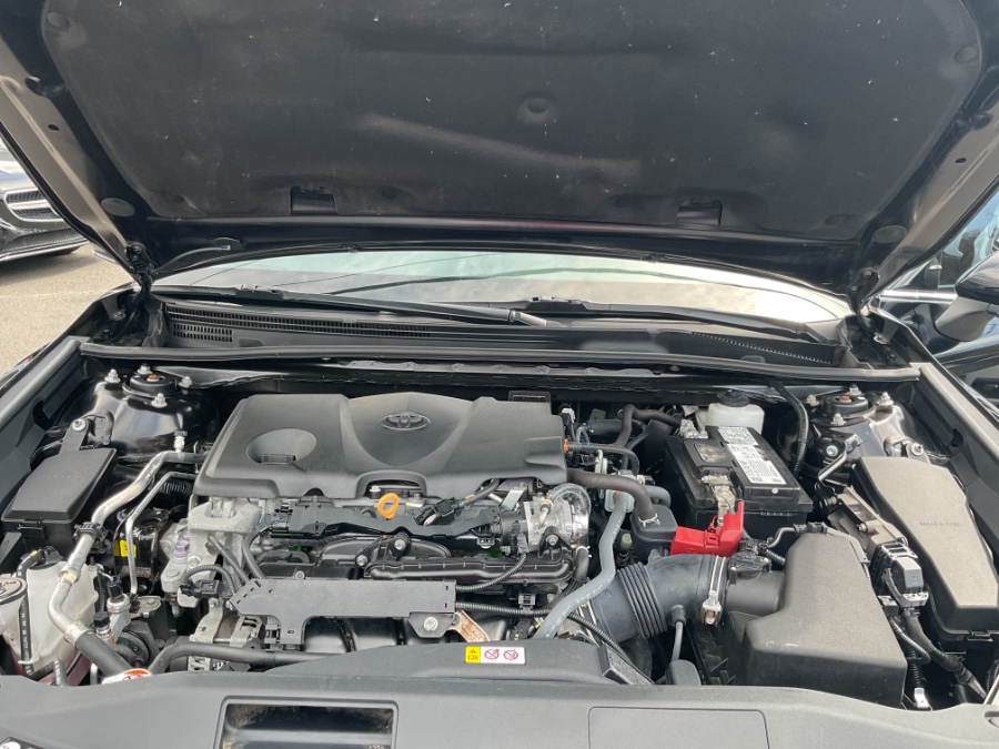 2021 Toyota Camry XLE Auto AWD (Natl) photo