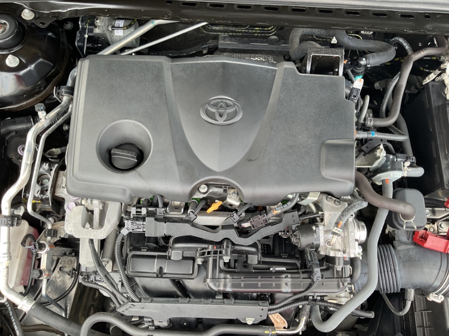 2021 Toyota Camry XLE Auto AWD (Natl) photo