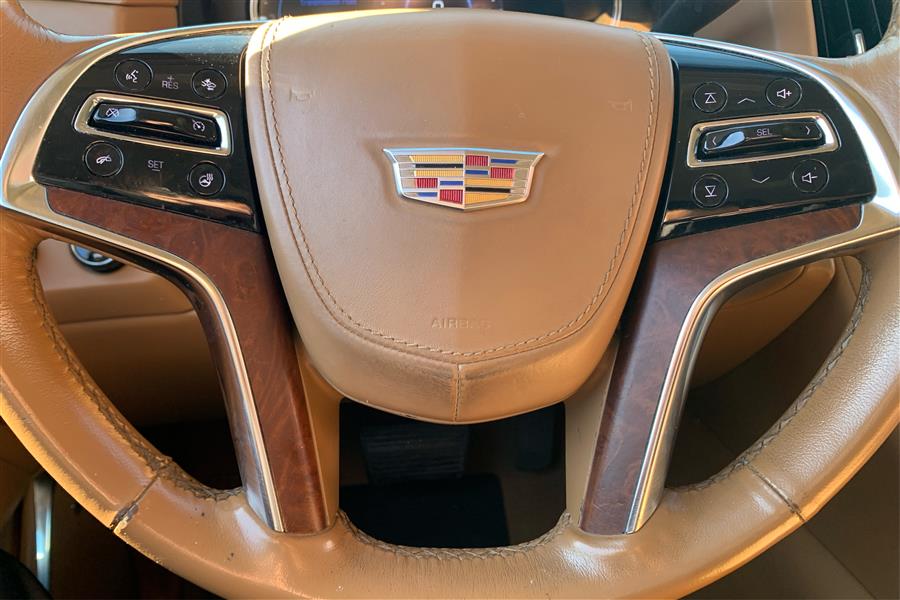 2016 Cadillac Escalade 4WD 4dr Platinum photo