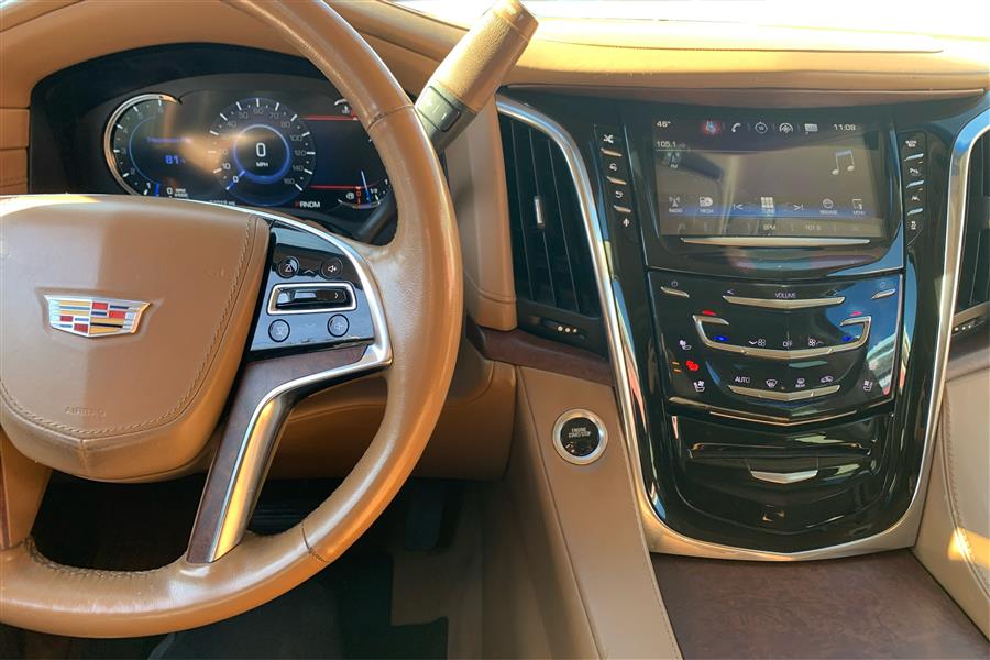 2016 Cadillac Escalade 4WD 4dr Platinum photo