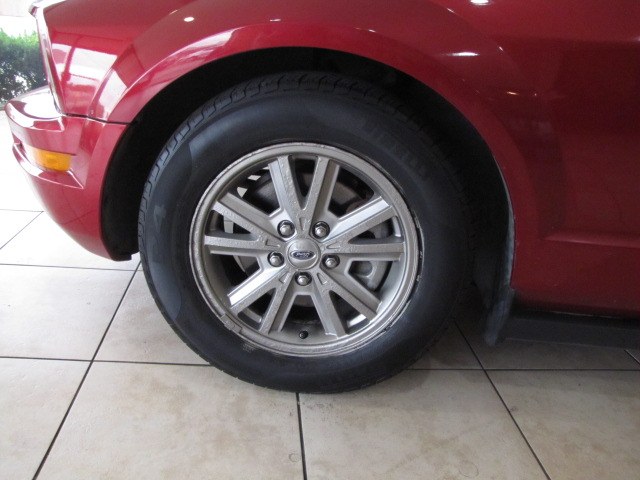 2006 Ford Mustang V6 Standard photo