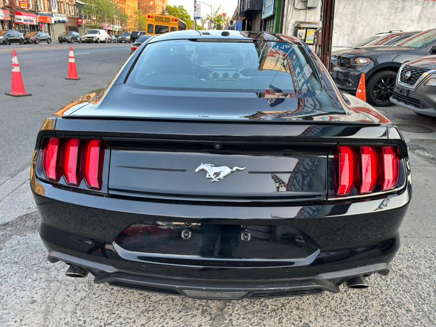 2019 Ford Mustang EcoBoost Fastback photo