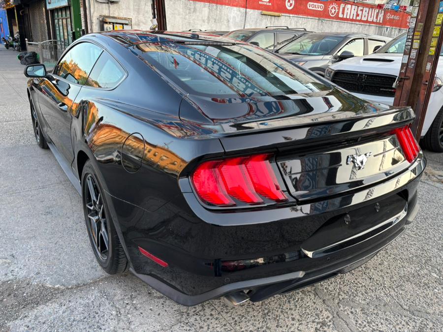 2019 Ford Mustang EcoBoost Fastback photo