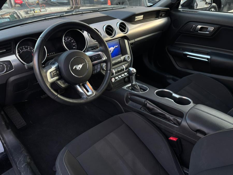 2019 Ford Mustang EcoBoost Fastback photo