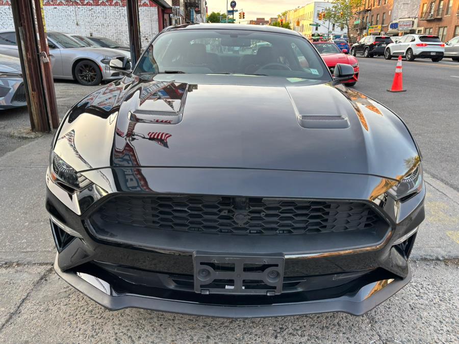 2019 Ford Mustang EcoBoost Fastback photo